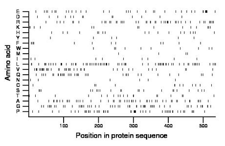 amino acid map