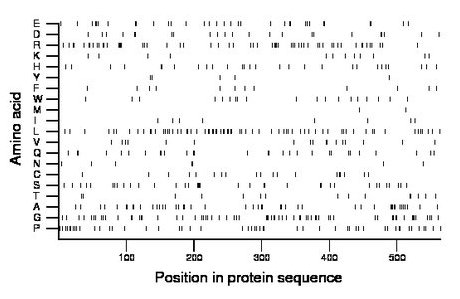 amino acid map