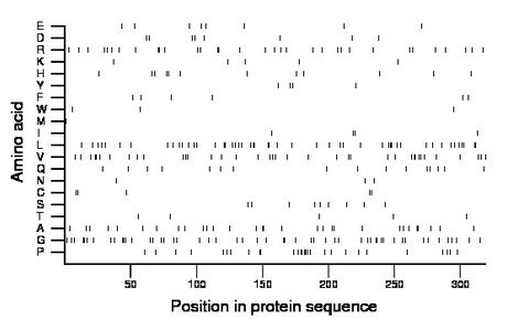 amino acid map