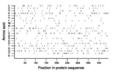 amino acid map