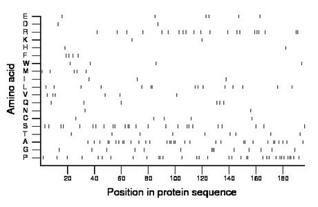 amino acid map