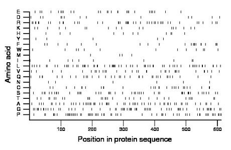 amino acid map