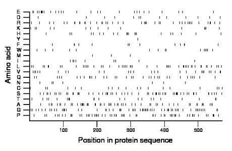 amino acid map