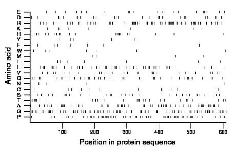 amino acid map