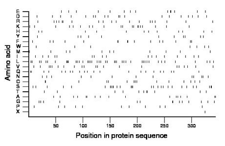 amino acid map