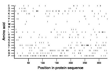 amino acid map