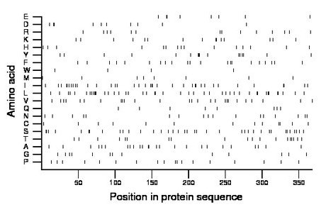 amino acid map