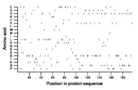 amino acid map