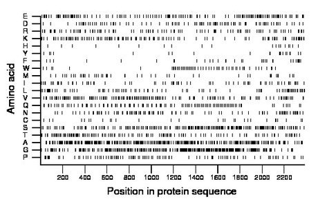 amino acid map