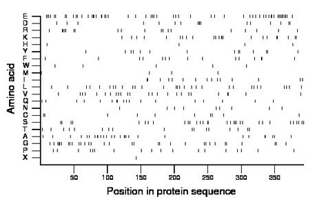 amino acid map