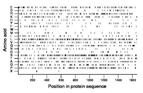 amino acid map