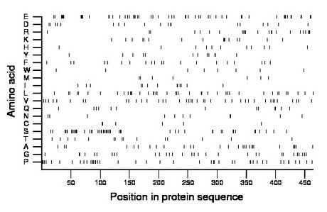 amino acid map