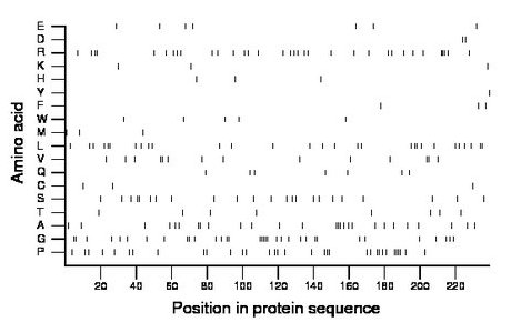 amino acid map