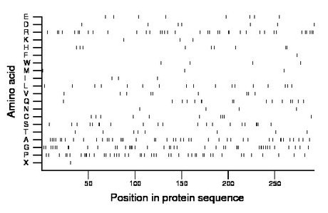 amino acid map