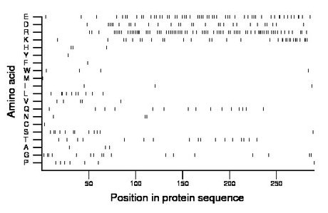 amino acid map