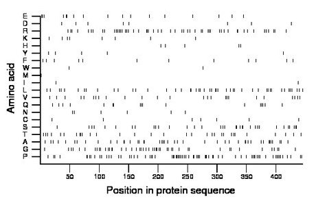 amino acid map