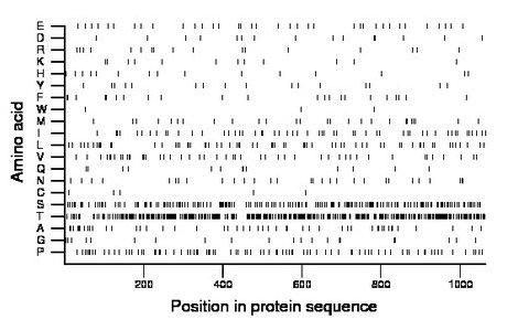 amino acid map