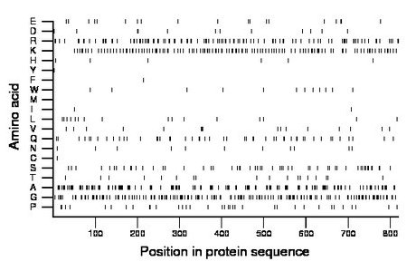 amino acid map