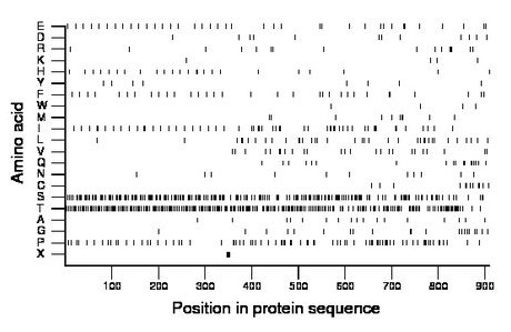 amino acid map