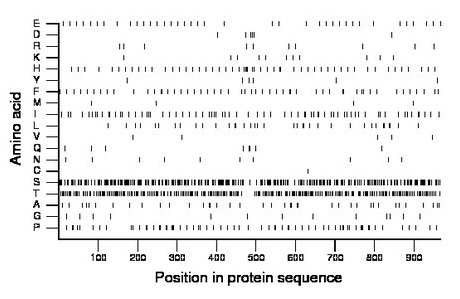 amino acid map