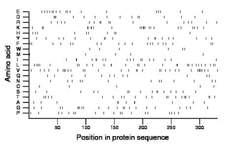 amino acid map