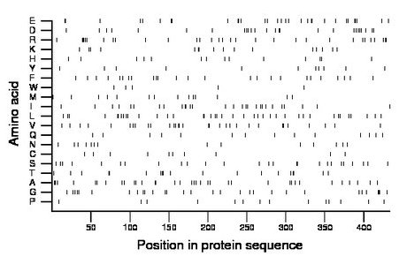 amino acid map