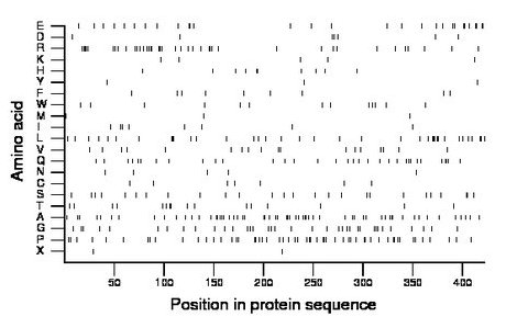 amino acid map