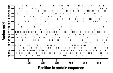 amino acid map