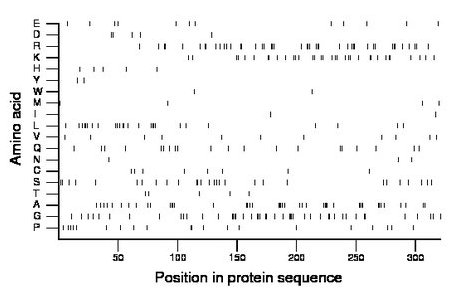 amino acid map