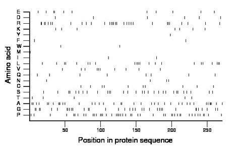 amino acid map