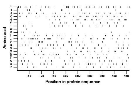 amino acid map