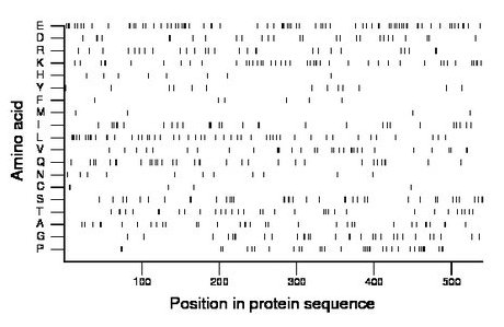 amino acid map