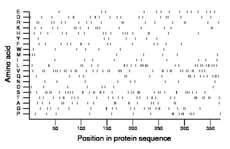 amino acid map