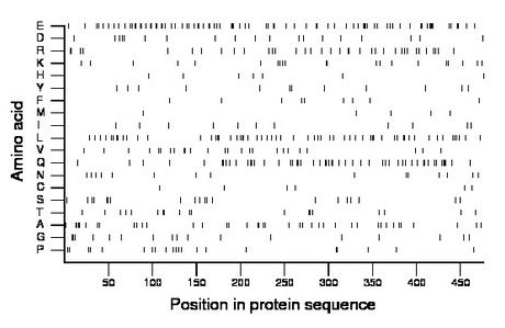 amino acid map