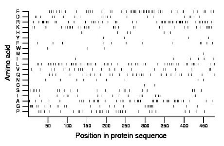 amino acid map