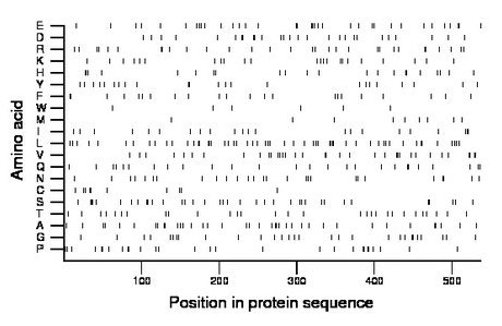 amino acid map