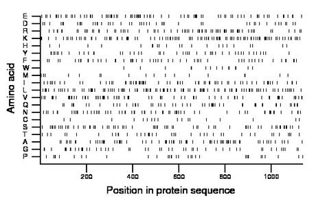 amino acid map