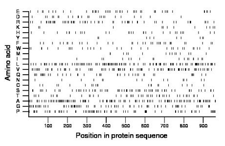 amino acid map