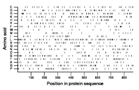 amino acid map