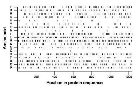 amino acid map