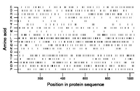 amino acid map