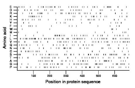 amino acid map