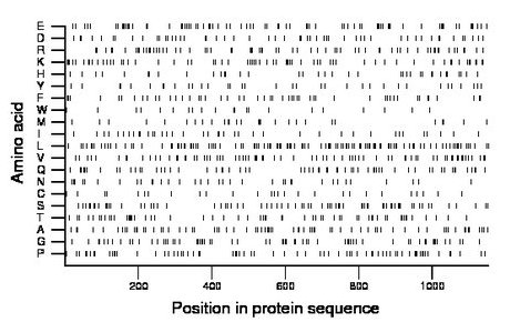 amino acid map