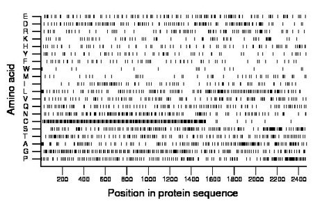 amino acid map