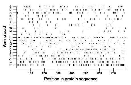 amino acid map