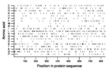 amino acid map