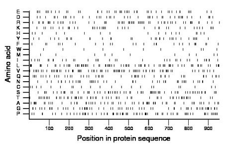 amino acid map