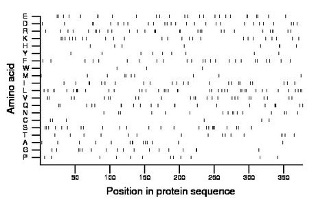 amino acid map