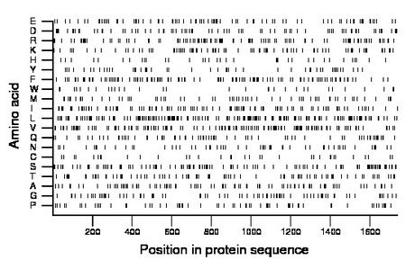 amino acid map