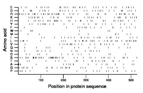 amino acid map